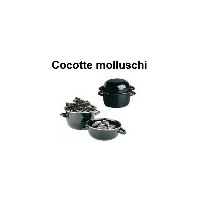 COCOTTE x MOLLUSCHI  - 2512999 | Novalberghiera