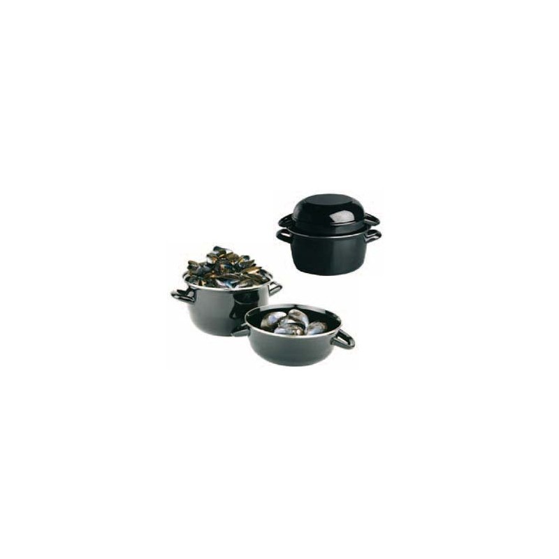COCOTTE x MOLLUSCHI cm 24  - 2512024 | Novalberghiera