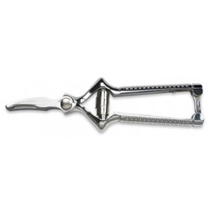 MASTICATORE INOX cm  18  - 3334000 | Novalberghiera