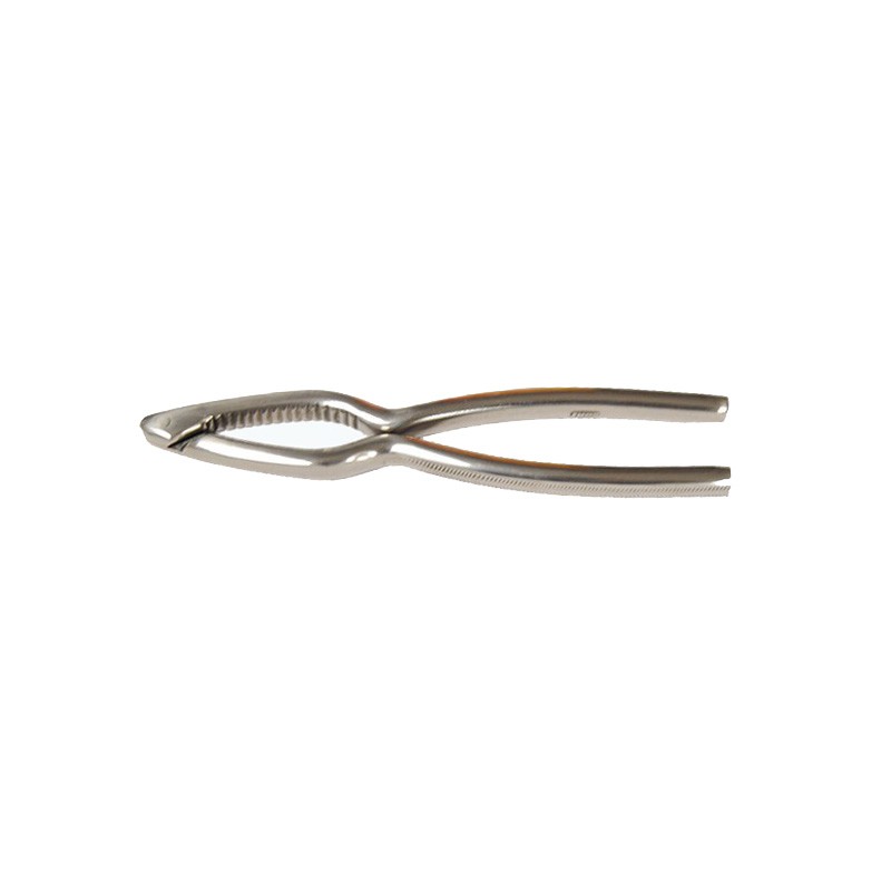 ROMPINOCI INOX Aia cm 18  - 3339000 | Novalberghiera