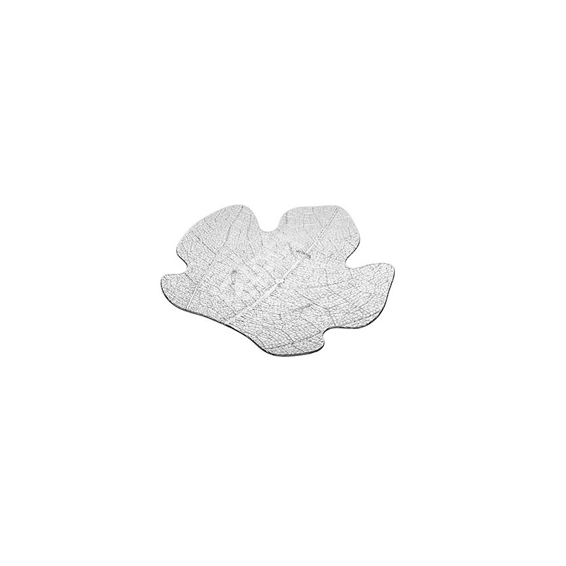 6122-21 N.25 MONOD.FICUS  - 3621001 | Novalberghiera