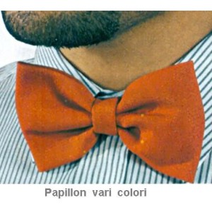 PAPILLON COLOR -Ico  - 610001 | Novalberghiera