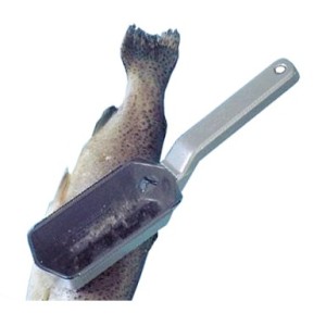 SQUAMAPESCE SCALEX  - 3670001 | Novalberghiera