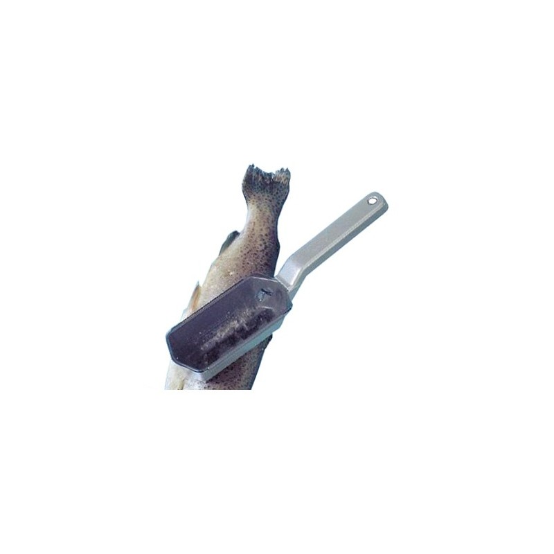 SQUAMAPESCE SCALEX  - 3670001 | Novalberghiera