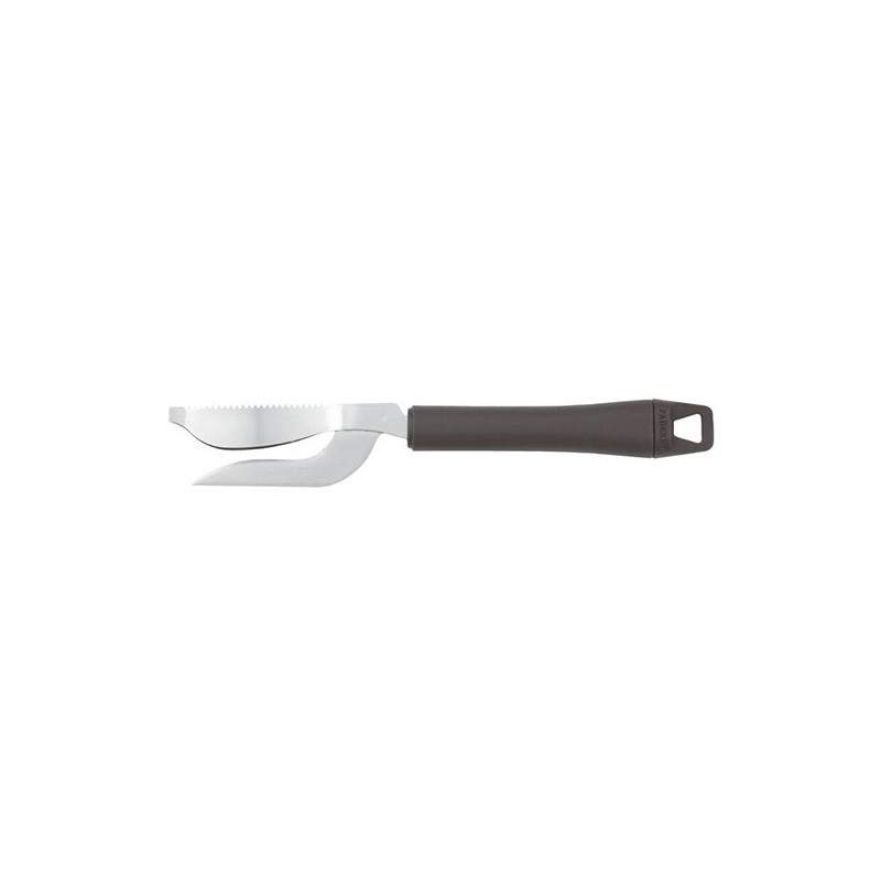 SQUAMAPESCE INOX  - 3255037 | Novalberghiera