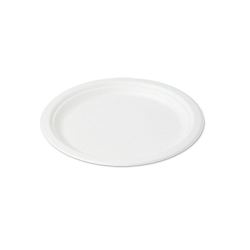C.50 OVALE cm26x20  POLPA (10)  - 1092326 | Novalberghiera