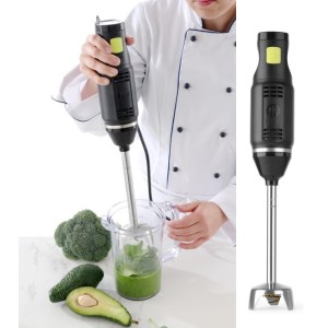 MIXER IMMERSIONE MINI Hdi